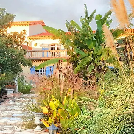La Demeure De L'arche Saint-Christol-les-Ales